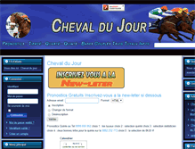 Tablet Screenshot of cheval-du-jour.fr